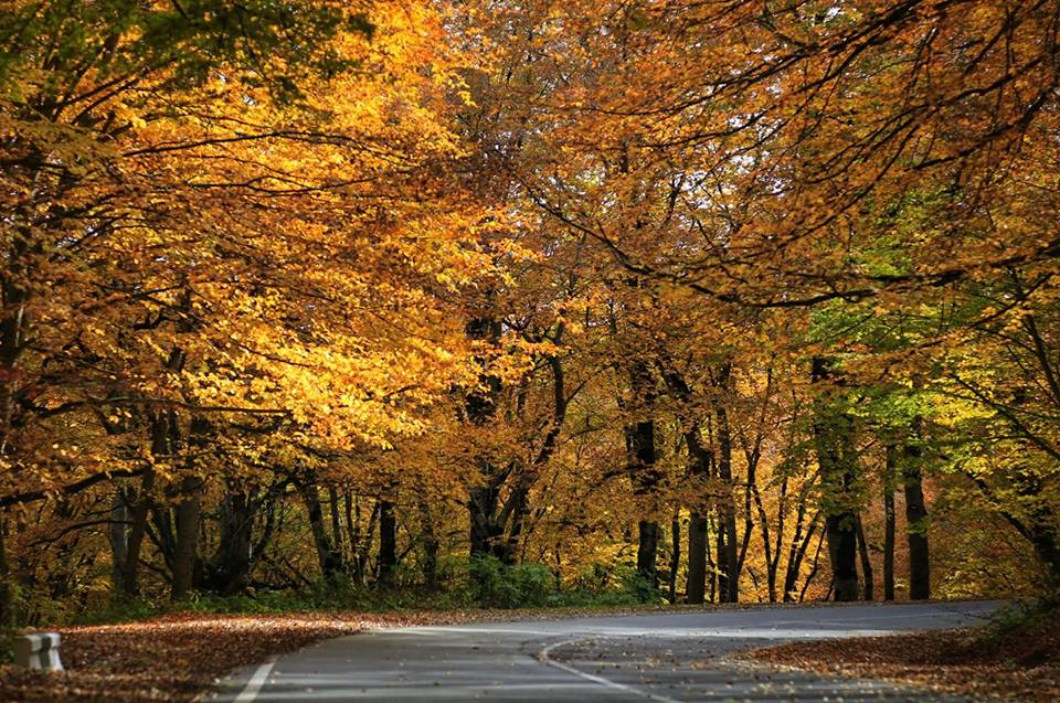 Georgia's gorgeous places to visit in Autumn geotv.ge